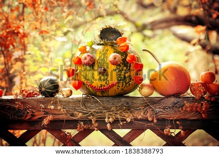 Decorated pumpkin, on a natural background. The concept of autumn, harvest harvest, halloween. 
