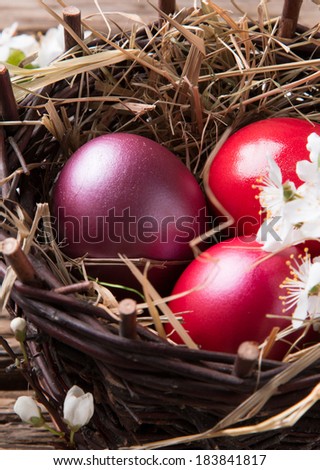Violet easter eggs with flower on wood. Spring concepr.