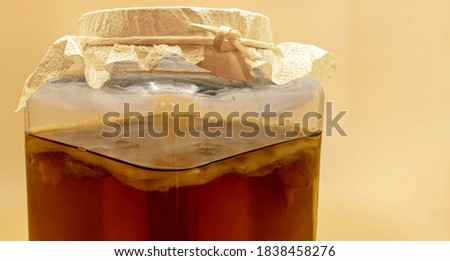 Black tea kombucha in a glass container. Scoby mushroom culture is seen