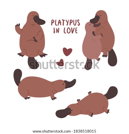 Set with pair of platypuses in love. Vector flat illustration animal isolated on white background Royalty-Free Stock Photo #1838518015