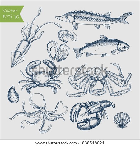 Seafood big set. Ink sketch isolated on white background. Hand drawn vector illustration. Royalty-Free Stock Photo #1838518021