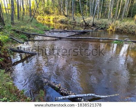 river flow in the wild forest in the autumn season and the reflection of trees in the water