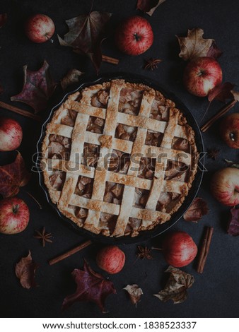 Traditional American apple pie for Thanksgiving Day, on dark background