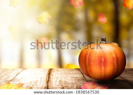 Pumpkin on wooden table with autumn leaves. Happy Thanksgiving