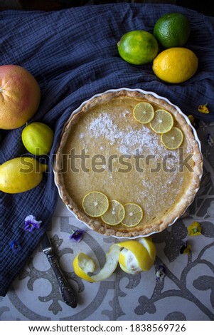 Lemon tart dusted with icing sugar. Top view photo of fresh baked sweet pie with lemon filling. 