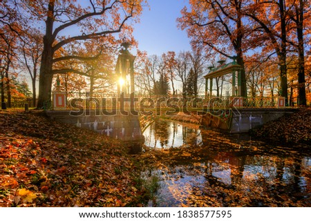 autumn in the park. leaves in the pond