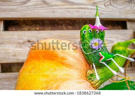 Funny figure from cucumbers in the garden. An example of decorative work with vegetables. Autumn harvest.