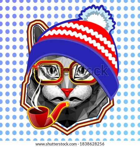 Muzzle of a gray cat in a low-diagonal style with red glasses and wearing a winter hat. Design for printing on t-shirts. Print. vector.