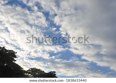 Nature scenery and blue sky