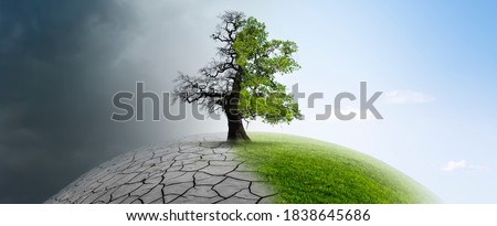 Tree on a globe in climate change Royalty-Free Stock Photo #1838645686