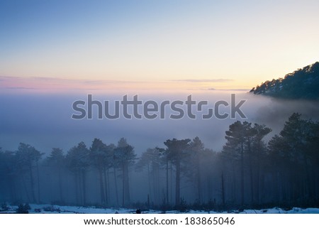 Evening fog covers the forest. Crimea, Ukraine.