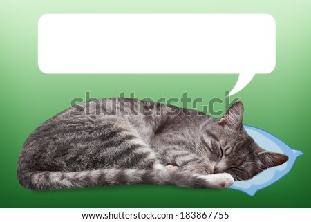 Cute sleeping cat with speech bubble, green background