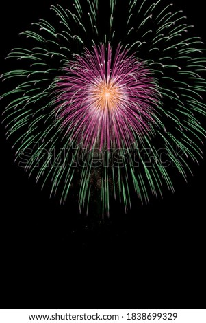Colorful fireworks on a black sky background, free space for text. Celebration and commemorative concept.