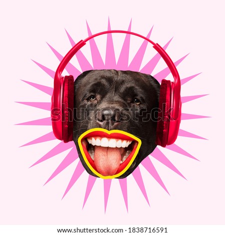 Music lover. Modern design. Contemporary art collage with cute dog and trendy colored background with geometric styled elements. Inspirative art, pets, animal, style and fashion concept. Copyspace.