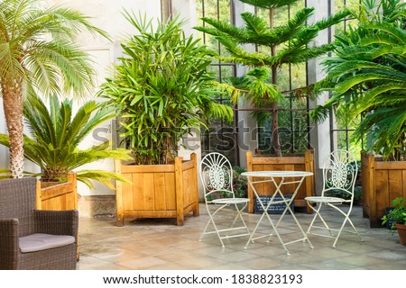 Metal garden furniture, stools and table standing in tropical plants orangery with palms in wooden flowerbeds. Relaxing time in biophilic interior style. Greenhouse cafe concept. Copy space. Royalty-Free Stock Photo #1838823193