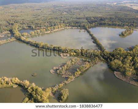 Aerial view of the lake in calm weather in the autumn at sunrise. View from air. Pond, orange grass, trees at dawn. Colorful aerial landscape at sunset in fall. Top view
Nature background concept