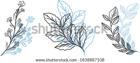 Vector branches and leaves. Drawn flower elements. Vintage Botanical illustrations.