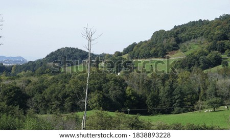 Rural landscape in the mountains of the Basque Country