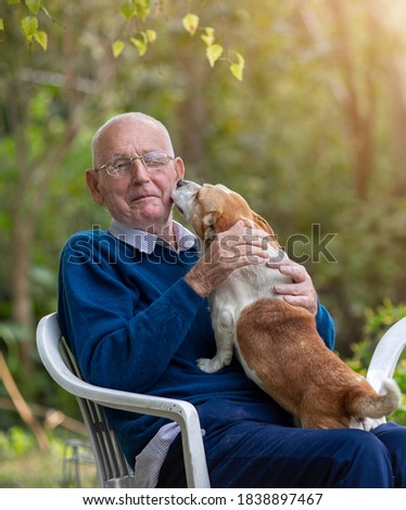 Cute dog sitting in old man lap and kissing him in garden