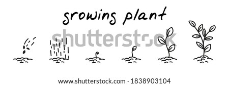 Plant growing concept handdrawn illustration. Cute cartoon vector clip art with 6 illustrations depicting different stages of plant growth from sowing to leaves. Black and white linear sketch Royalty-Free Stock Photo #1838903104