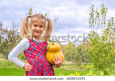 Pumpkin picking season. Little girl holding big orange pumpkin at the pumpkin patch