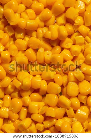 many corn grains in close up