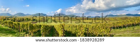 Panoramic view. Sunny colorful vineyards landscape in autumn, Rhineland Palatinate, Germany. Deutsche Weinstrasse (German Wine Road) Vineyard Rural autumn landscape,  Palatinate region. Royalty-Free Stock Photo #1838928289