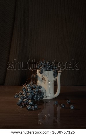         a bunch of grapes with water drops on a dark background                       