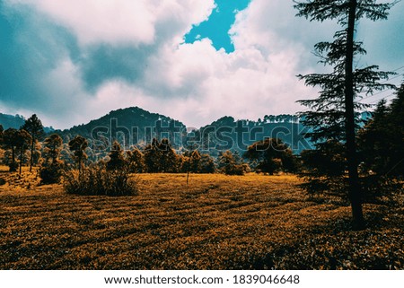 Scenic view of a tea garden with mountains in background and cloudy sky