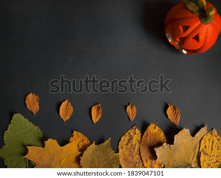 Pumpkin and autumn leaves on black background. Halloween concept. Free space, top view