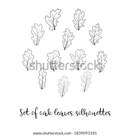 Set of oak leaves silhouettes. Isolated black vector contour illustrations on white background as a decoration, ornamentation, card, greeting card, invitation template, print, advertising or sale.