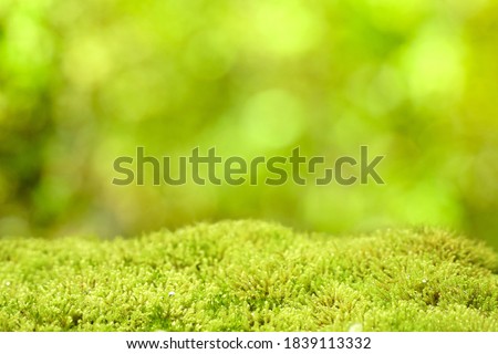 Fresh green grass or moss on blurred bokeh background in the park. Beautiful image. Copy space. Can be use for advertising to show your product display montage.