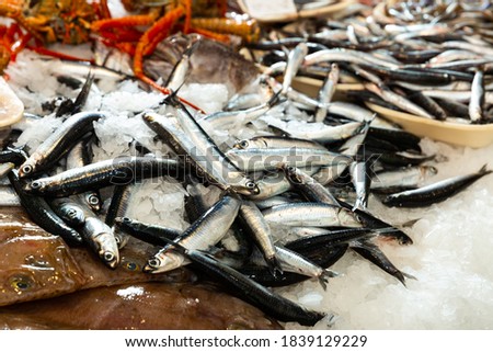 Fresh anchovies for sale at market. High quality photo