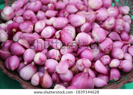 Shallot. Fresh purple red onions on a plastic plate. Shallots up close. Royalty-Free Stock Photo #1839144628