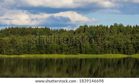 Trees on the shore of a forest lake. Beautiful summer landscape.