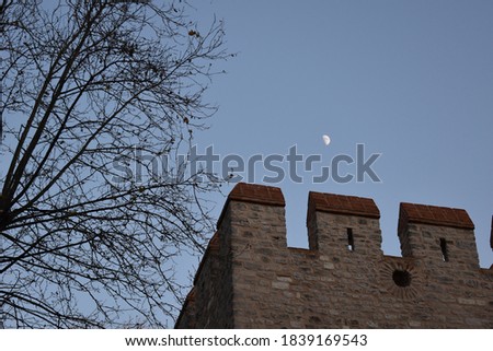 castle and tree branches with half moon in sky