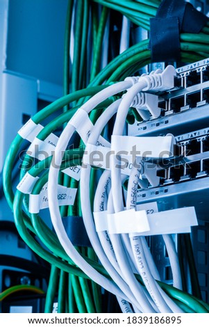 colorful patch cables connected to switch - high speed internet concept