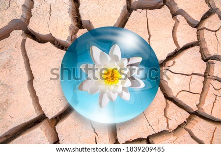 Global warming concept - Lotus flower on a turquoise water drop of dried soil in the background