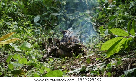 Lit Smoking Camp Fire in Nature