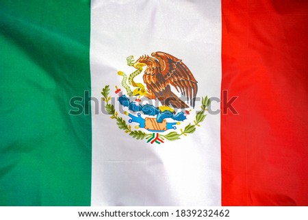 Fabric texture flag of Mexico. Flag of Mexico waving in the wind. Mexico flag is depicted on a sports cloth fabric with many folds. Sport team banner