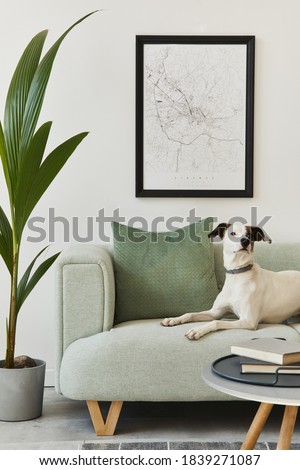 Beautiful dog lying on the green sofa at stylish loft interior with green sofa, design furniture, mock up poster map, carpet, plants and decoration. Template.