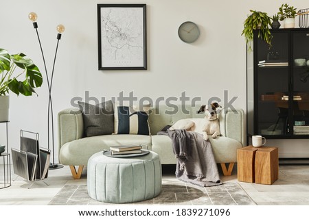 Beautiful dog lying on the green sofa at stylish loft interior with green sofa, design pouf, mock up poster map, furniture,  carpet, plants and decoration .