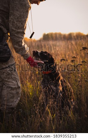 The dog gives the quail to the hunter. A friendly dog. Royalty-Free Stock Photo #1839355213