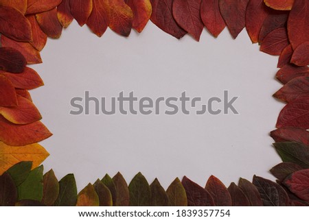 Frame of colorful autumn leaves on a white background. Copy space