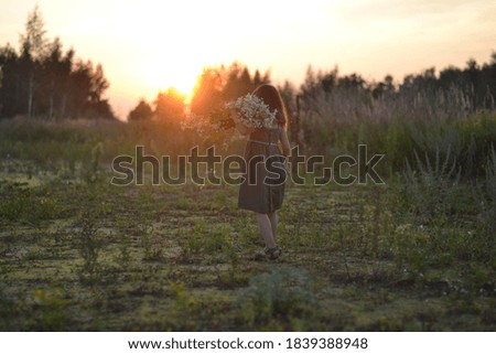 
little girl at sunset with a large bouquet of chamomile