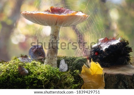 Still life with mouse  under mushrooms in autumn forest