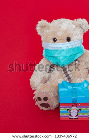 Christmas Teddy bear with face mask