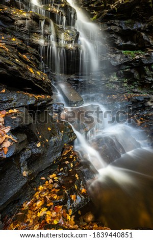 Silky Waterfalls, Fallen Golden Autumn Leaves, and Mountain Creek flowing Over the Rocks