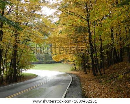 A Road into the fall colors. Gods  Paintings along the road. 