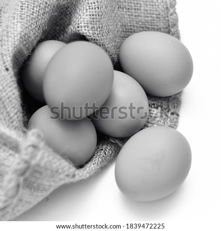 Eeggs with gunny bag isolated on white background. shallow dept of field.square black and white photo